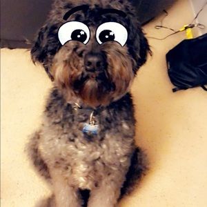 Meet your Posher, Ruthann